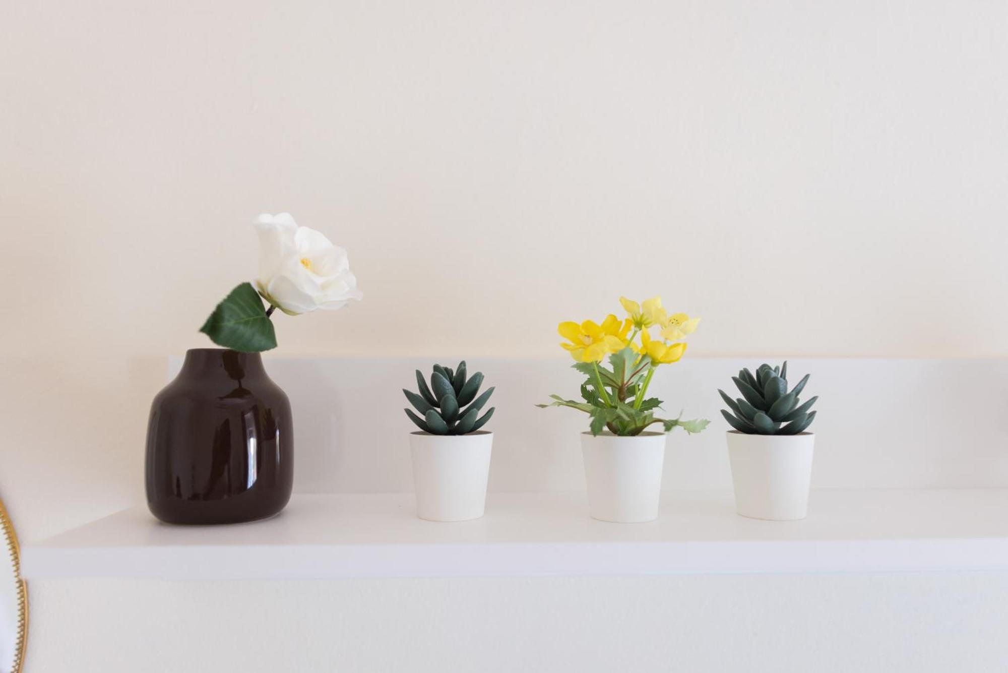 Savia Home Katania Zewnętrze zdjęcie